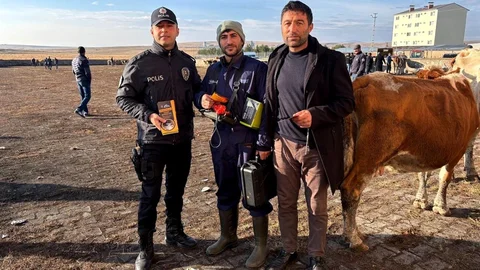 Damal'da hayvan pazarında dolandırıcılığa dikkat