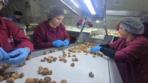 Nazilli'de İncir İçin Birlikte Hareket Çağrısı