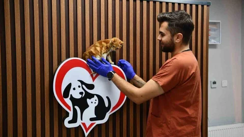 Balıkesir'de Can Dostlar Güvende