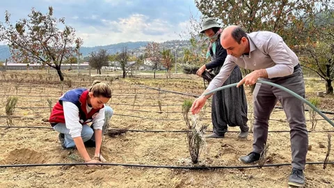 Çamlıyayla'da 50 Bin Lavanta Toprakla Buluştu
