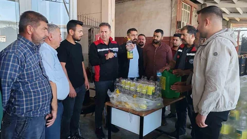 Adana'da Akdeniz meyve sineği ile mücadele sürüyor