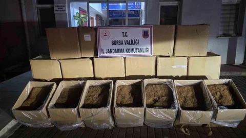 Bursa'da jandarma tarafından düzenlenen operasyonda 750 kilogram kaçak tütün bulundu.