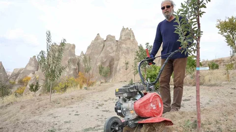 Nevşehir'de Peribacaları'na ağaç dikimi yapılıyor