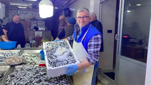 Sinop'ta hamsi fiyatları yarıya indi