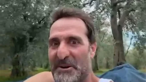 Bursa'da zeytin hasadı