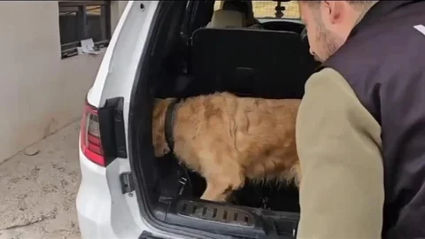 Hakkari'de uyuşturucu operasyonu