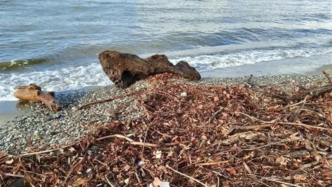 Balıkesir'de lodos fırtınası sahili tahrip etti