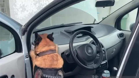 Kocaeli'de uyuşturucu madde operasyonu