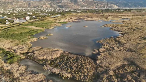 Hatay'da kuraklık sonrası yağışlar kuş cennetini canlandırdı