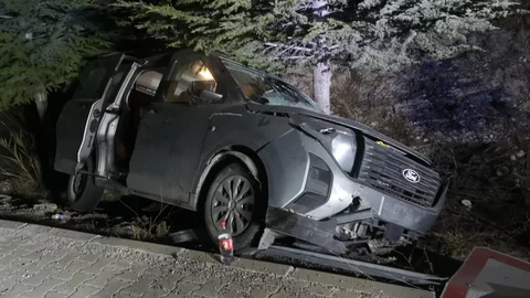 Malatya'da hafif ticari araç refüje çarptı