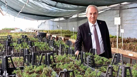 Kepez'de kurakçıl peyzaj uygulamaları