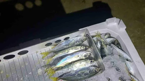 Düzce'de yasal boy denetimi yapıldı