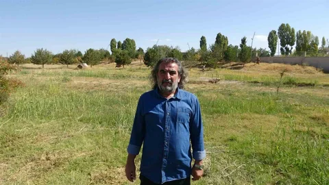 Vanda Yaban Hayvanları Üzerine Uyarılar