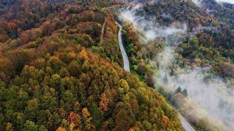 Sakarya'da Çam Dağı'nın sonbahar manzarası etkileyici