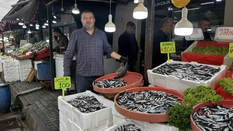 Zonguldak'ta Hamsi Fiyatları Düşüyor