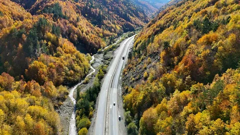 Kastamonu ormanları sonbaharla birlikte renk cümbüşü sunuyor