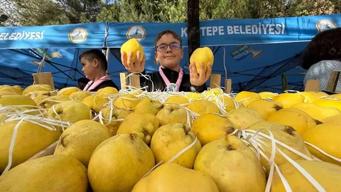 Kocaeli'nde Eşme ayvası festivali düzenlendi