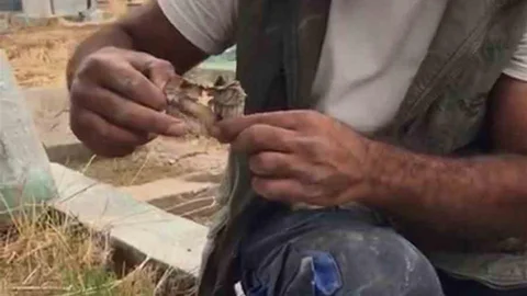 Diyarbakır'da mezardan kefenlenmiş oyuncak bebek bulundu