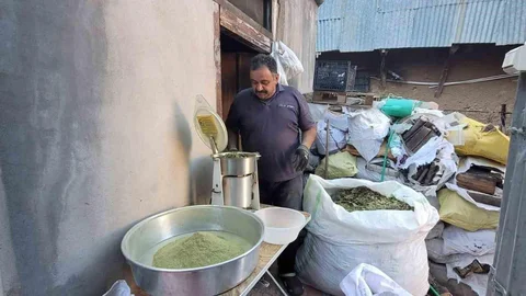 Doğanın sunduğu 120 bitkiden oluşan Zetrin baharatı Erzincan'ın Kemaliye ilçesinde yeniden öne çıkıyor.