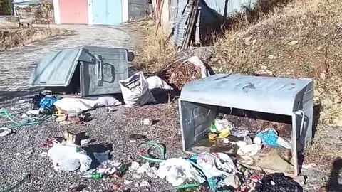 Yedigöller'de Boz Ayı Sorunu