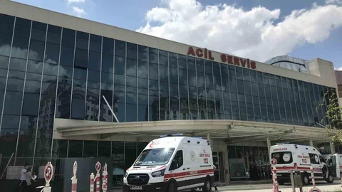 Baba ve oğlu galericiye bıçakla saldırdı