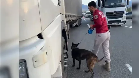 Iğdır'da kaçakçılık ve dolandırıcılık operasyonu: 4 şüpheli yakalandı