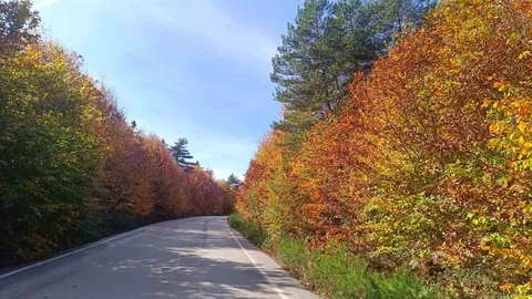 Bilecik'te sonbahar manzarası