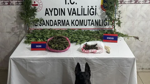 Aydın'da Uyuşturucu Operasyonu