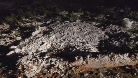 Mersin'de Yoğurt Atığı İhbarı