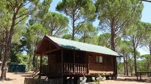 Şebekenin Mersin Ayağı da Vardı! Bungalov Dolandırıcılık Çetesi Çökertildi: 216 Mağdur, 521 Milyon Liralık Vurgun, 22 Tutuklama