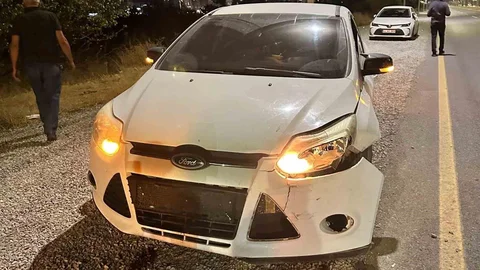 Malatya'da Domuz Kazası Gerçekleşti