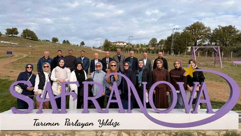 Mehdi Eker Karabük'te Safran Hasadı Yaptı