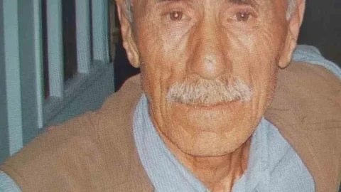 Ordu'da Trafik Kazası: 1 Kişi Hayatını Kaybetti