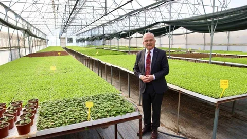 Ordu Büyükşehir Belediye Başkanı Güler, "4 milyon 600 bin fideyi üreticilerimize dağıttık" dedi.