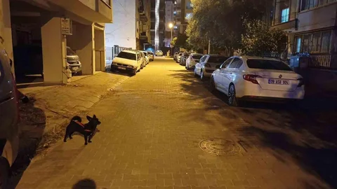 Balıkesir Depremi Aydın'da Hissedildi