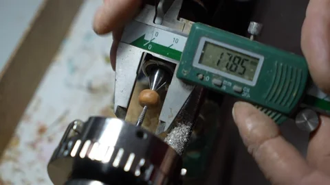 Brezilya Meyvesi Erzincan'da Tespih Oluyor