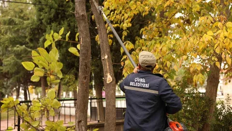 Çivril Belediyesi Ağaç Budama Çalışmaları