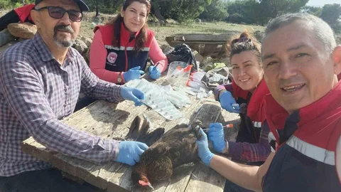 Söke'de Tavuklardan Numune Alındı