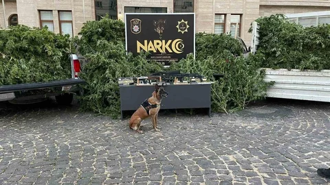 Kilis'te Uyuşturucu Operasyonu Düzenlendi