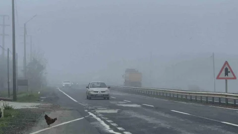 Tekirdağ'da Yoğun Sis Etkili