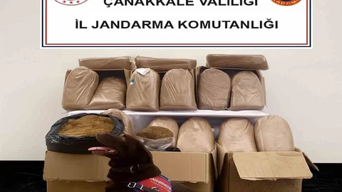 Çanakkale'de Kaçakçılık Operasyonu Yapıldı