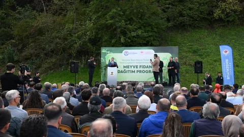 Unutulmaya Yüz Tutan Meyve Fidanları Trabzon'da Dağıtıldı