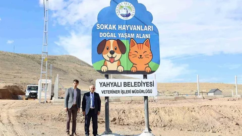 Yahyalı'da Sokak Hayvanlarına Alan Açıldı