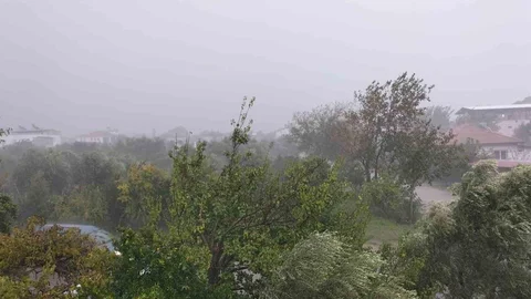 Köyceğiz'de Fırtına ve Sağanak Yağış Etkili Oldu