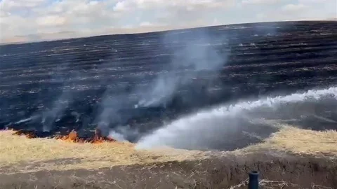 Diyarbakır'da Anız Yangını Çıktı