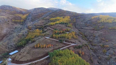 Muş'ta Sanat ve Duyarlılık Buluştu