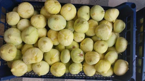 Mut İnciri Sezonu Kapattı: Üreticiler "Bu Yıl Yüzümüz Güldü" Diye Sevindi!