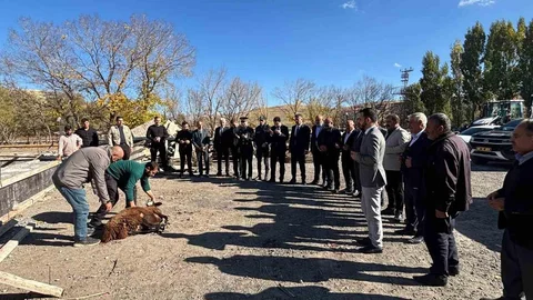 Tutak'ta Yeni Hayvan Pazarı Açılıyor