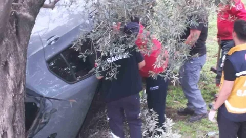 Balıkesir'de Zeytin Bahçesine Uçan Araç