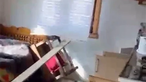 Rize Yaylalarında Ayı Paniği Yaşandı